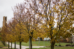 IMG_2545